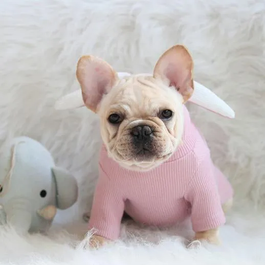 Knit Bunny Ears Hoodie