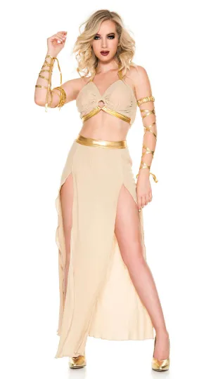 Medieval Queen Costume
